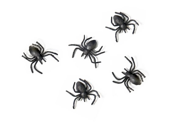 10x Spinne Plastik schwarz